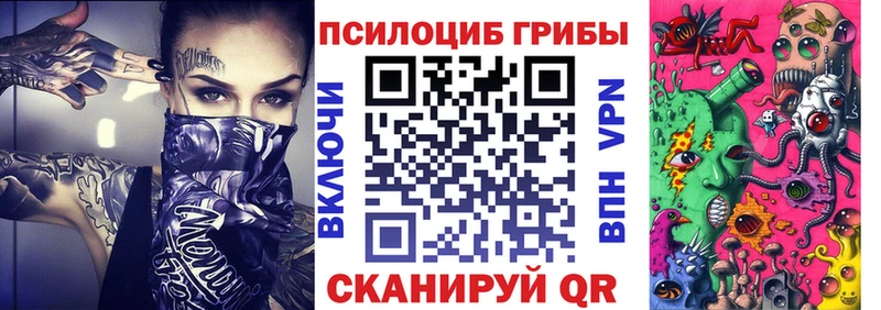 как найти закладки  Володарск  Псилоцибиновые грибы мухоморы 